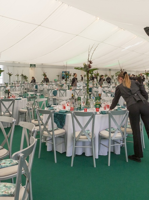 Aviva Marquee Feb 24 041