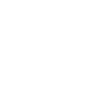 E15 Insights