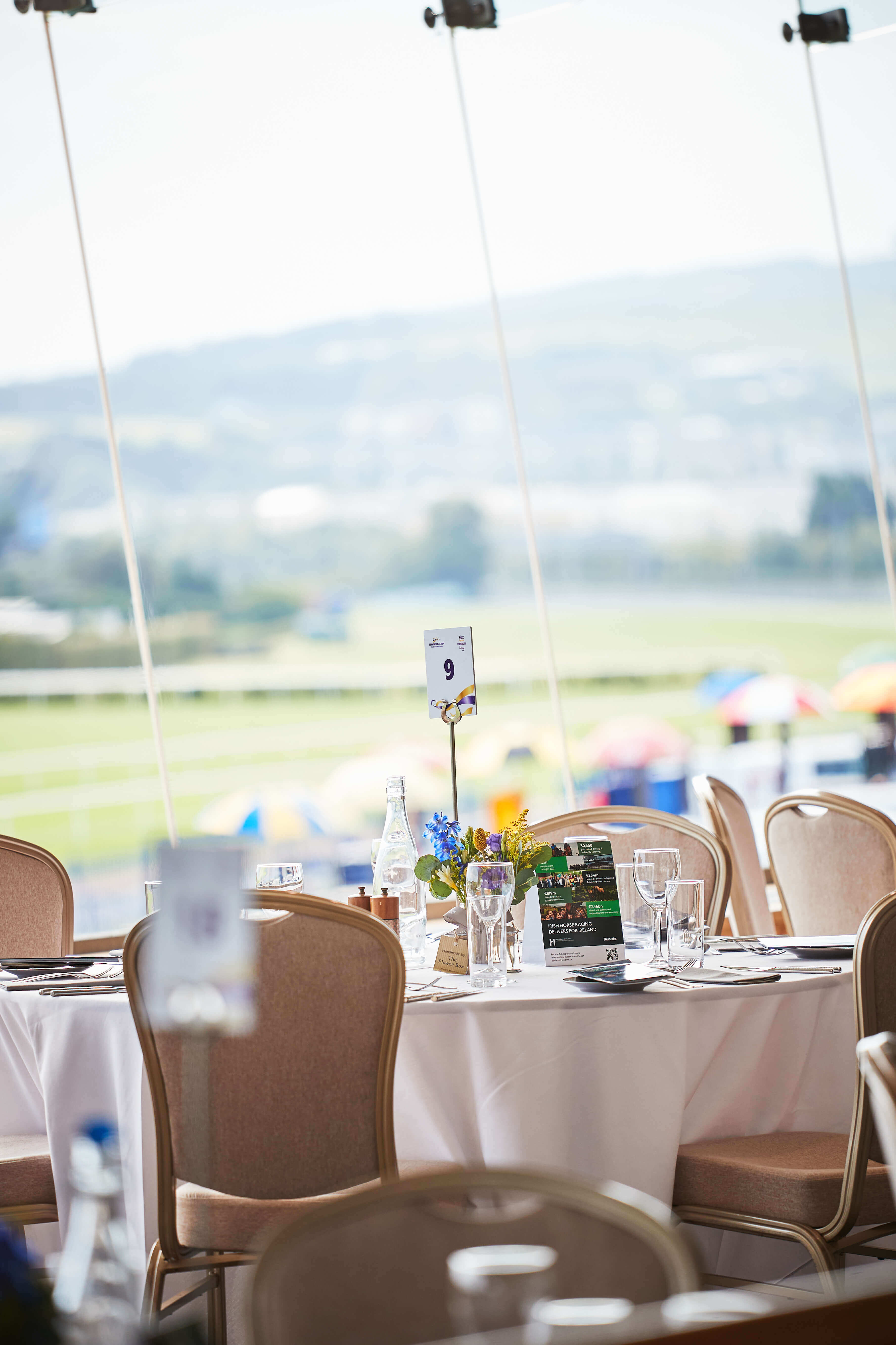 Leopardstown 1009 3.jpg