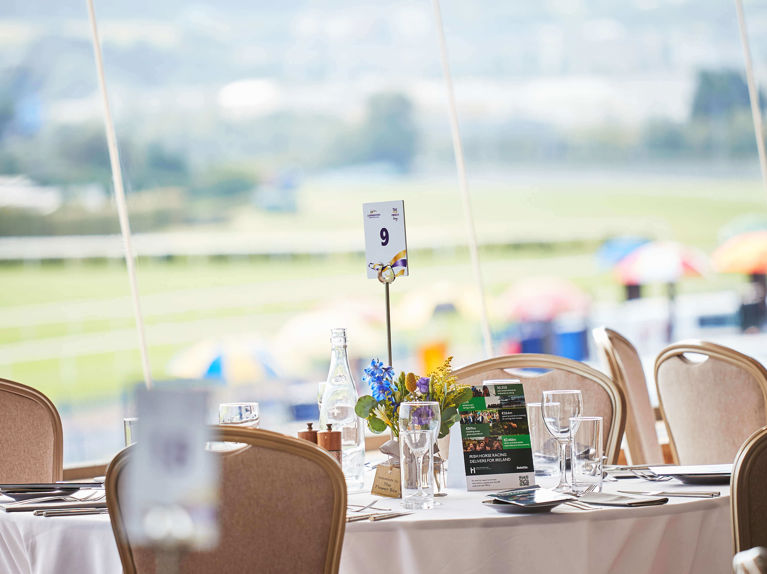 Leopardstown 1009 3.jpg