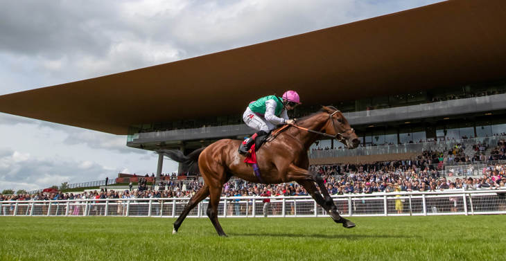 A jockey in a green jersey riding a brown horse past the crowd at The Curragh Racecourse. 