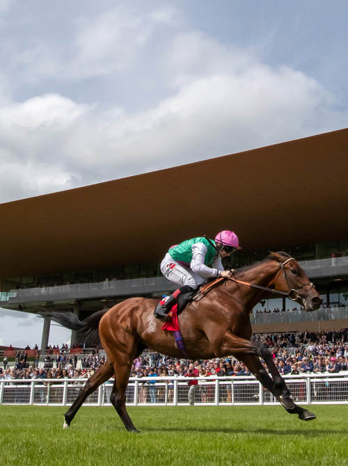 A jockey in a green jersey riding a brown horse past the crowd at The Curragh Racecourse.