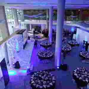 product-launch-in-the-1872---aviva-stadium_31896120247_o.jpg