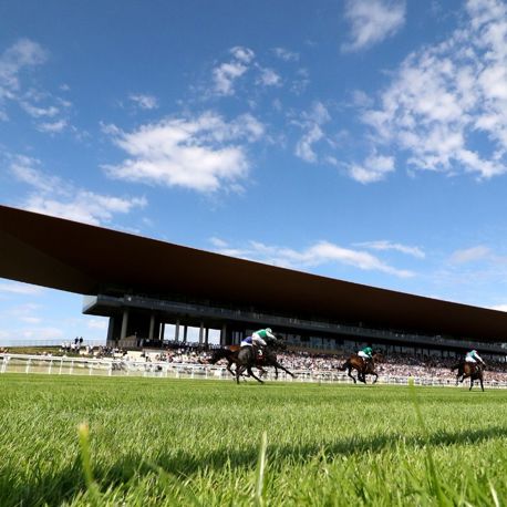 Horses taking part in a race running past a crowd in the stand at The Curragh.