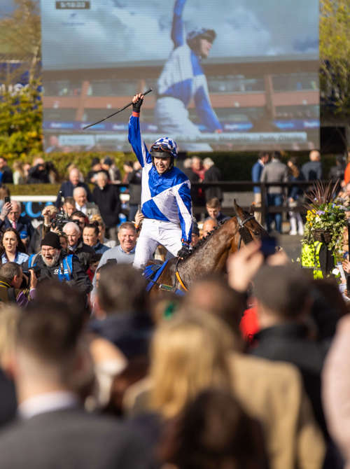 A jockey in a blue and white jersey celebrating winning a race as the crowd looks on and applauds.