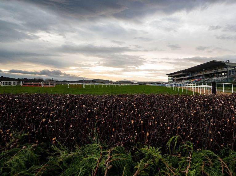 Leopardstown Racecourse NH