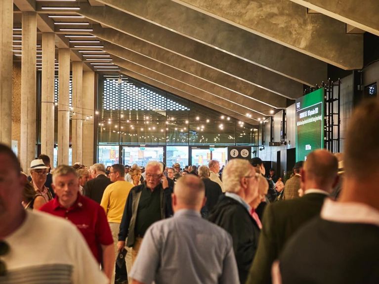 Curragh 1009 119.jpg