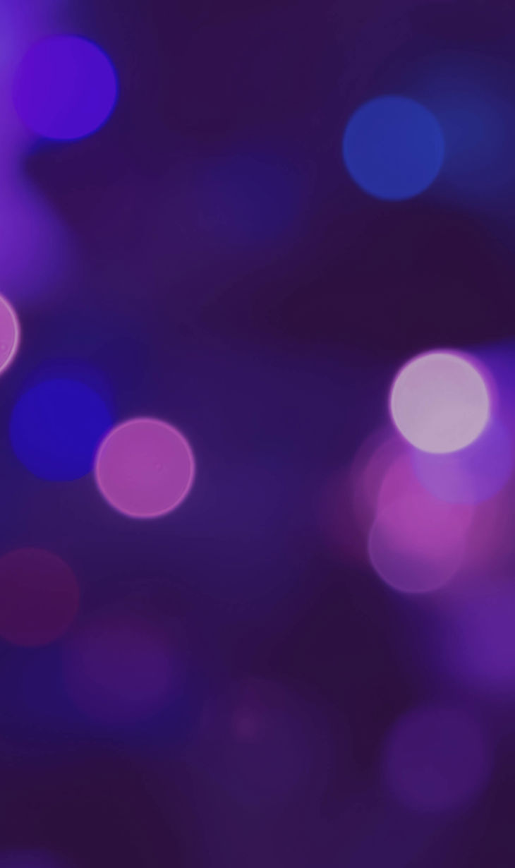 Leopardstown Racecourse Christmas Website Banner.jpg