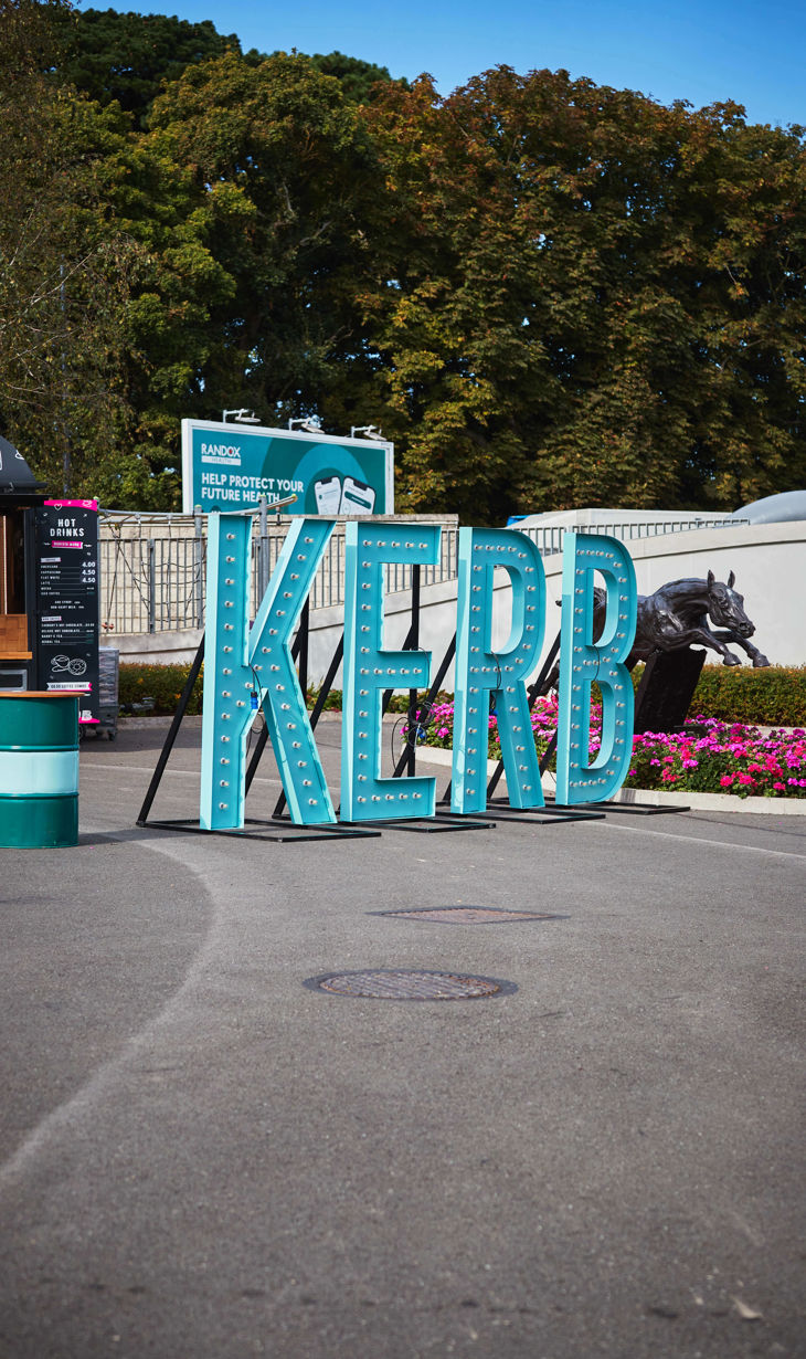 Leopardstown 1009 8.jpg