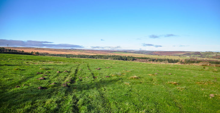 A green field with views of tress, hills and more fields in the background.
