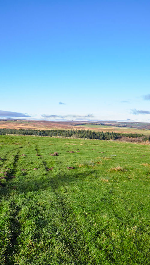 A green field with views of tress, hills and more fields in the background.
