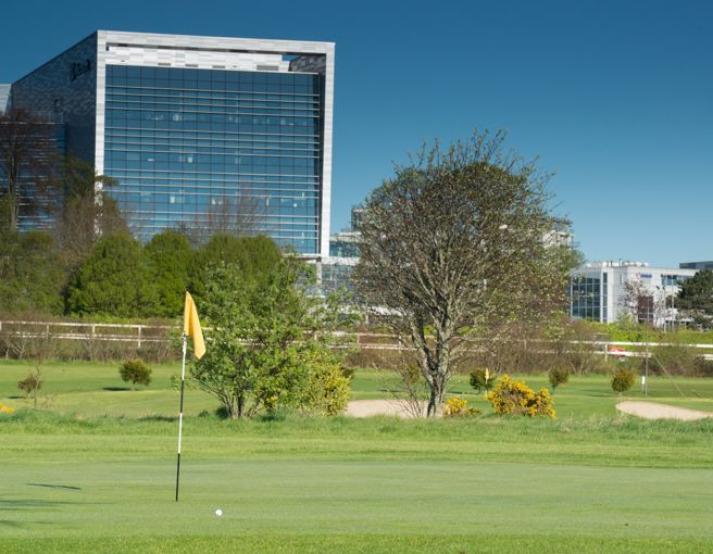 KM Course 16 (1).jpg