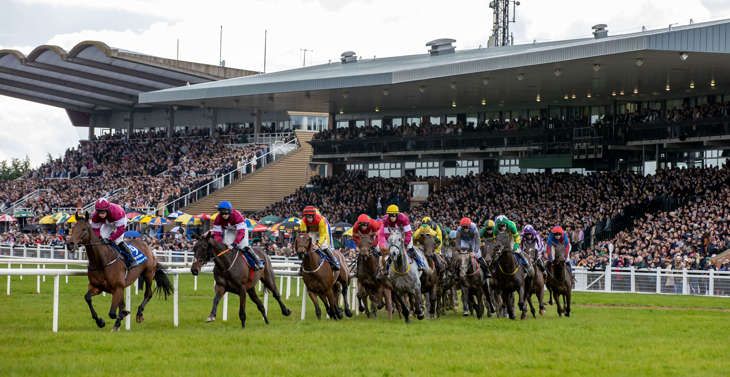 A large group of horses and jockeys taking part in a race with the crowd in the background at Fairyhouse Racecourse.