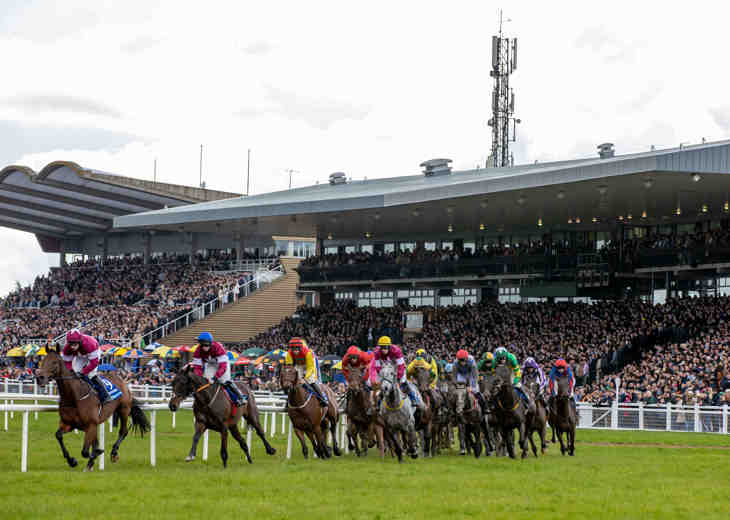 A large group of horses and jockeys taking part in a race with the crowd in the background at Fairyhouse Racecourse.