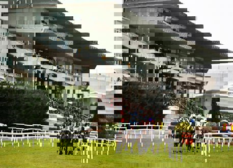 Horses racing past the crowd and stand at Leopardstown racecourse.