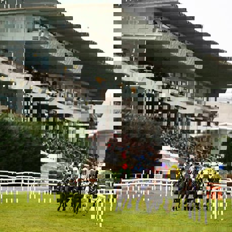 Horses racing past the crowd and stand at Leopardstown racecourse.